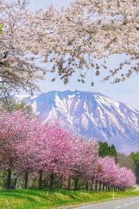 From tokyo To morioka