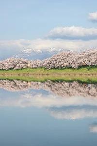 From tokyo To sendai