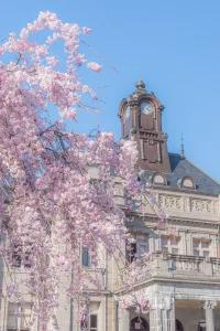 From tokyo To yamagata